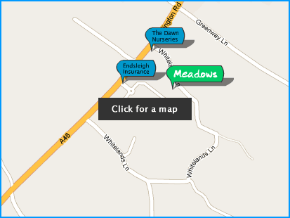 Click here for a map with directions for Meadows Day Nursery